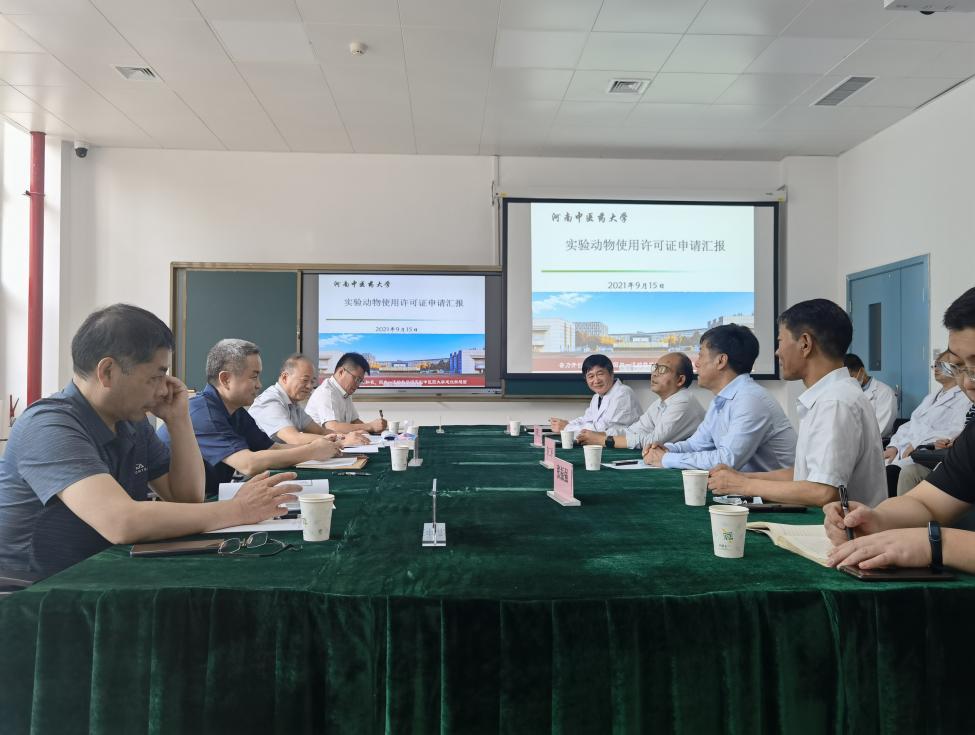 网络赌场