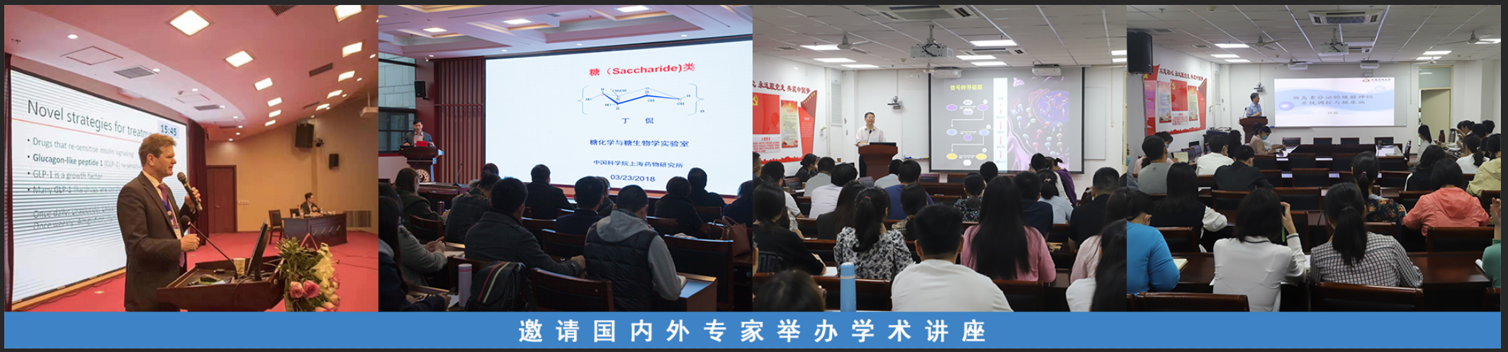 网络赌场