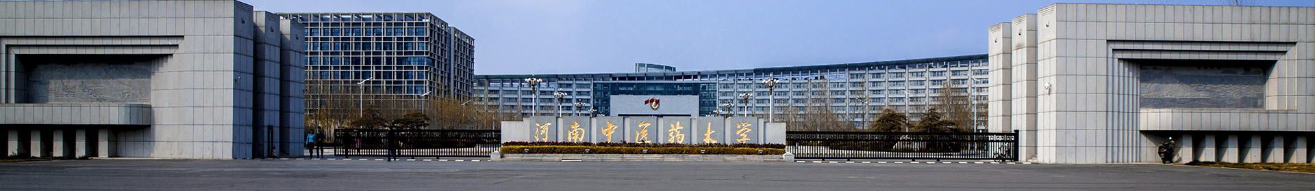 网络赌场